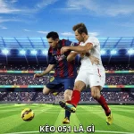 Kèo 0/5/1 Là Gì